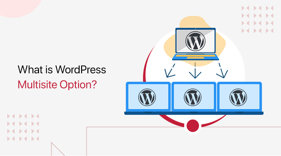 What is WordPress Multisite Option